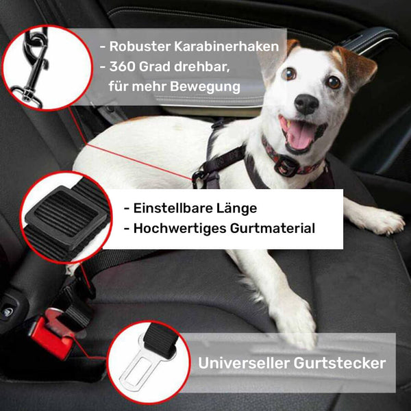 CAVAIO Belly - Universeller Autogurt für Deinen Hund